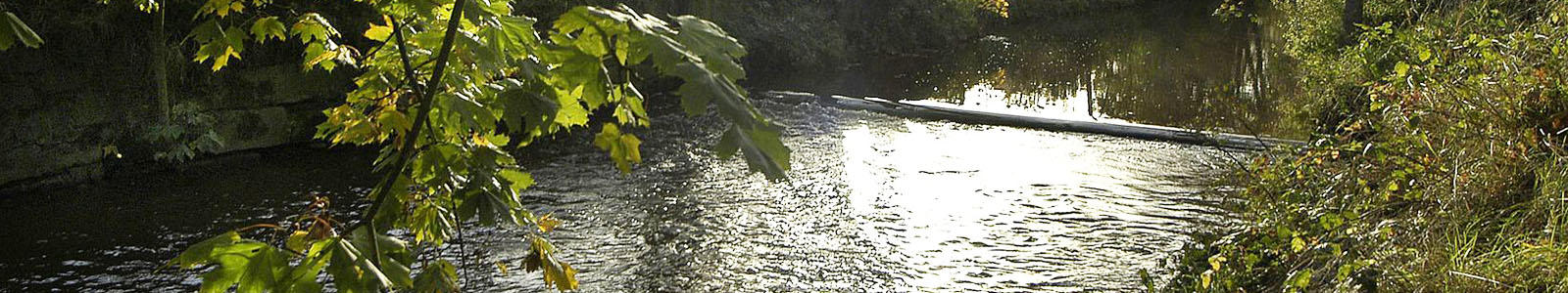 Fluss mit Ufer ©Feuerbach